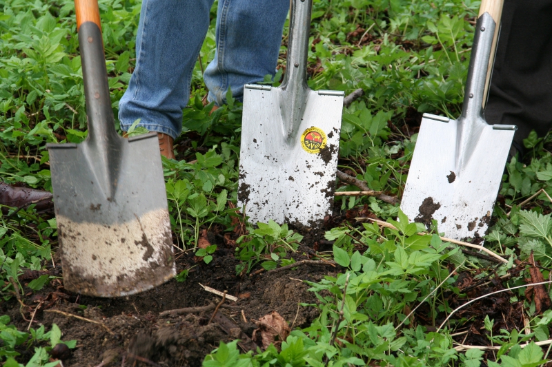 pepiniere-COLLOBRIERES-min_work-lawn-flower-tool-green-backyard-1103633-pxhere.com